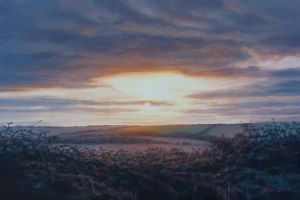 Bramble Sunset, South Downs Way