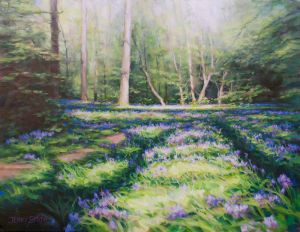 Bluebells, Forest of Bere