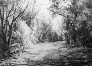 Meon Valley Trail near Soberton