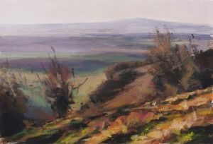 Meon Valley Murk