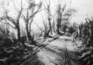 Mayhill Lane, Winter Light